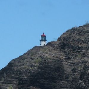 Meet your Posher, Roz